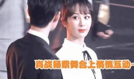 肖战杨紫最新圈内爆料是哪一期,哪一期节目引发热议？